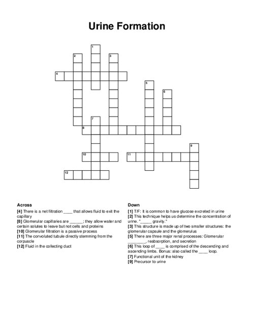 Urine Formation Crossword Puzzle