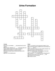 Urine Formation crossword puzzle
