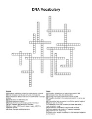 DNA Vocabulary crossword puzzle