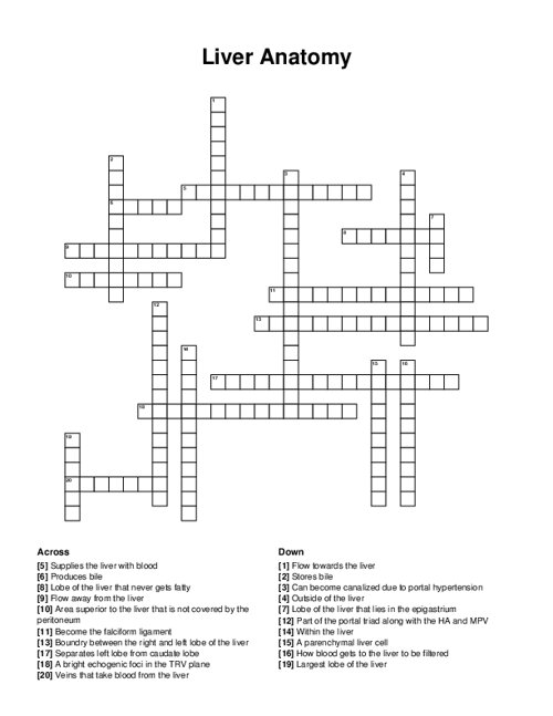 Liver Anatomy Crossword Puzzle