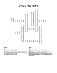 DNA & PROTEINS crossword puzzle