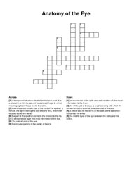 Anatomy of the Eye crossword puzzle