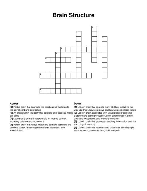 Brain Structure Crossword Puzzle