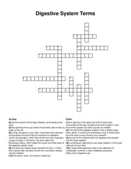 Digestive System Terms crossword puzzle