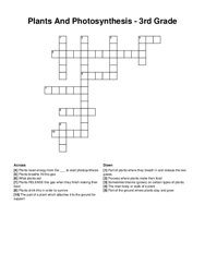 Plants And Photosynthesis - 3rd Grade crossword puzzle