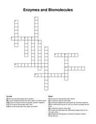 Enzymes and Biomolecules crossword puzzle