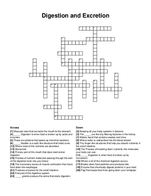 Digestion and Excretion Crossword Puzzle