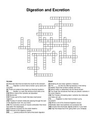 Digestion and Excretion crossword puzzle