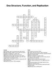 Dna Structure, Function, and Replication crossword puzzle