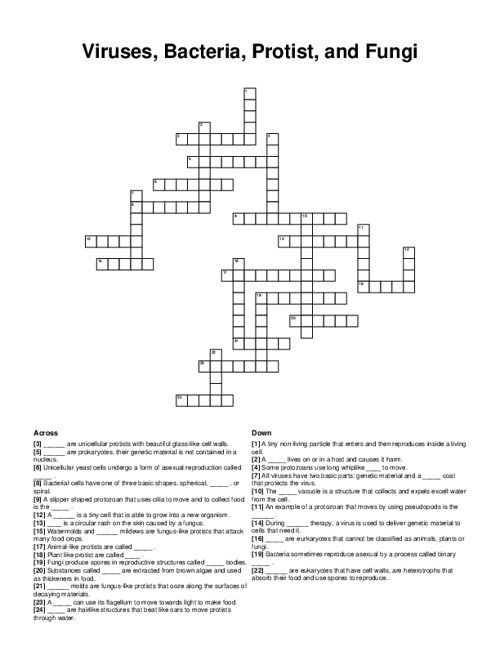 Viruses, Bacteria, Protist, and Fungi Crossword Puzzle