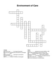 Environment of Care crossword puzzle