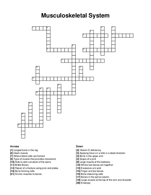 Musculoskeletal System Crossword Puzzle