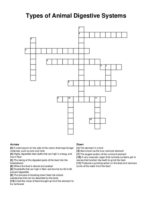 Types of Animal Digestive Systems Crossword Puzzle