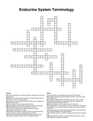 Endocrine System Terminology crossword puzzle