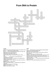 From DNA to Protein crossword puzzle