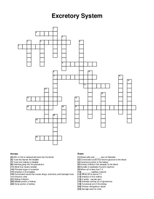 Excretory System Crossword Puzzle