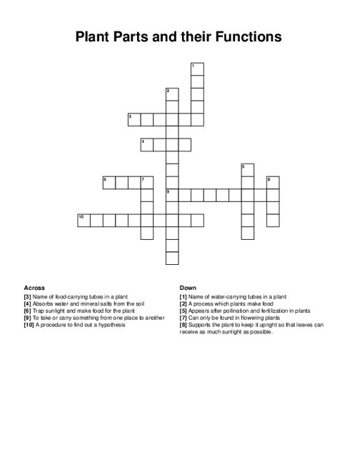 Plant Parts and their Functions Crossword Puzzle