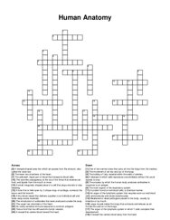 Human Anatomy crossword puzzle