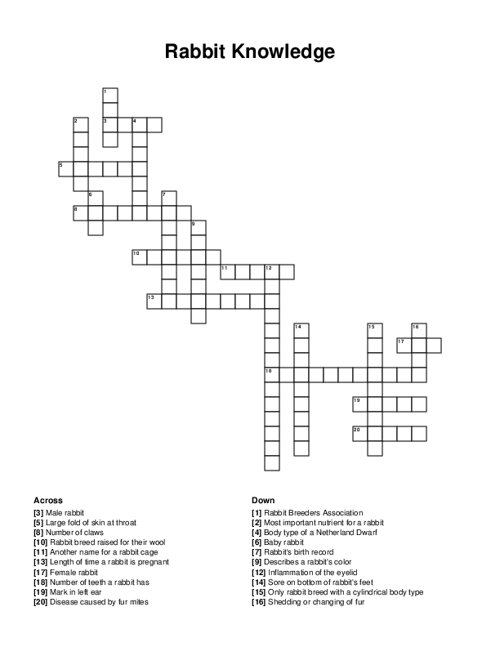 Rabbit Knowledge Crossword Puzzle