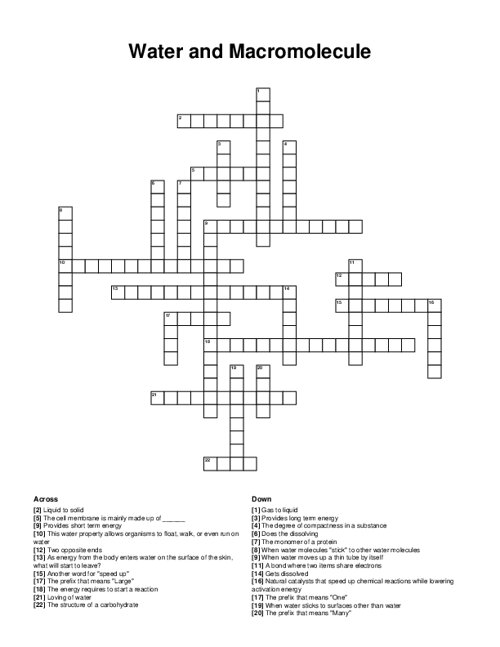 Water and Macromolecule Crossword Puzzle