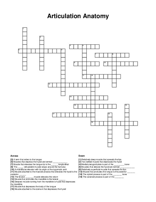 Articulation Anatomy Crossword Puzzle