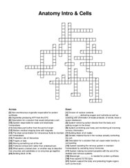 Anatomy Intro & Cells crossword puzzle