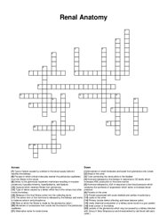 Renal Anatomy crossword puzzle