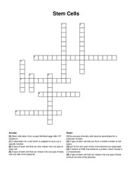 Stem Cells crossword puzzle