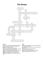 The Senses crossword puzzle