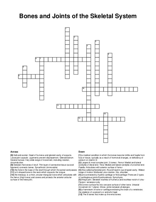 Bones and Joints of the Skeletal System Crossword Puzzle