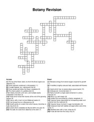 Botany Revision crossword puzzle