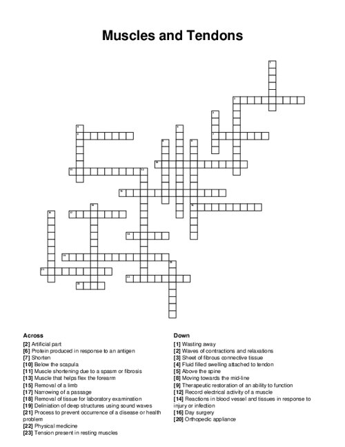 Muscles and Tendons Crossword Puzzle