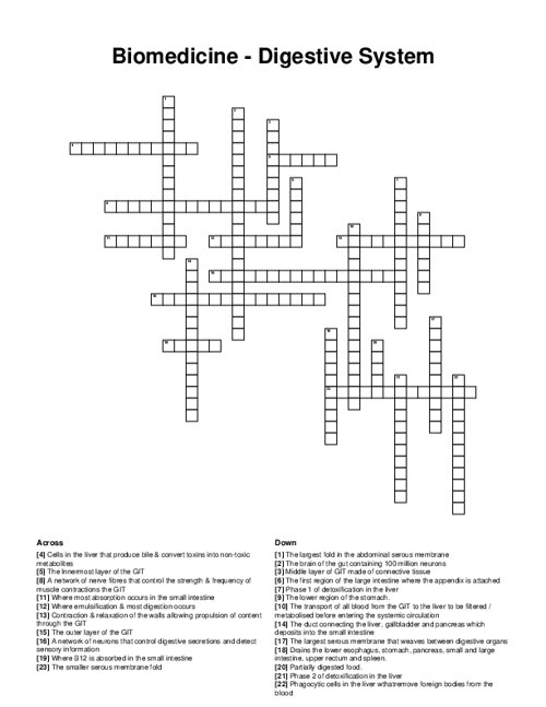 Biomedicine - Digestive System Crossword Puzzle