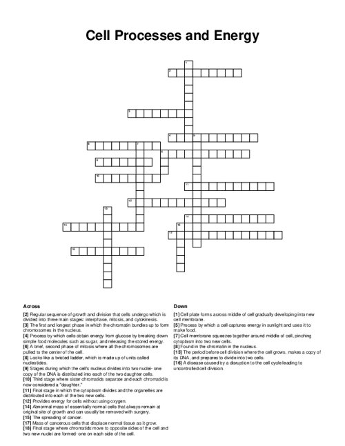 Cell Processes and Energy Crossword Puzzle