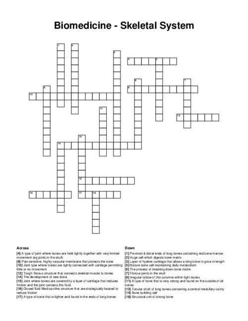 Biomedicine - Skeletal System Crossword Puzzle
