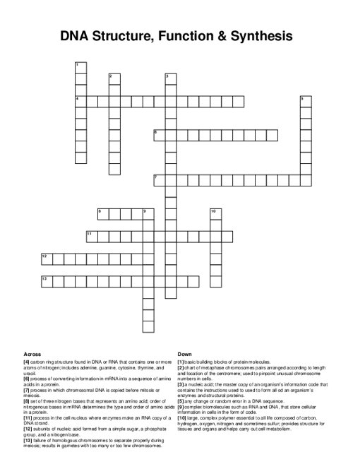 DNA Structure, Function & Synthesis Vocabulary Crossword Puzzle