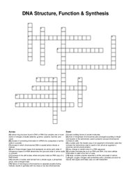 DNA Structure, Function & Synthesis Vocabulary crossword puzzle