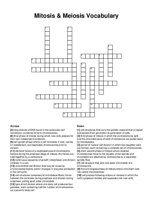 Mitosis & Meiosis Vocabulary Crossword Puzzle