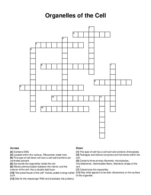 Organelles of the Cell Crossword Puzzle