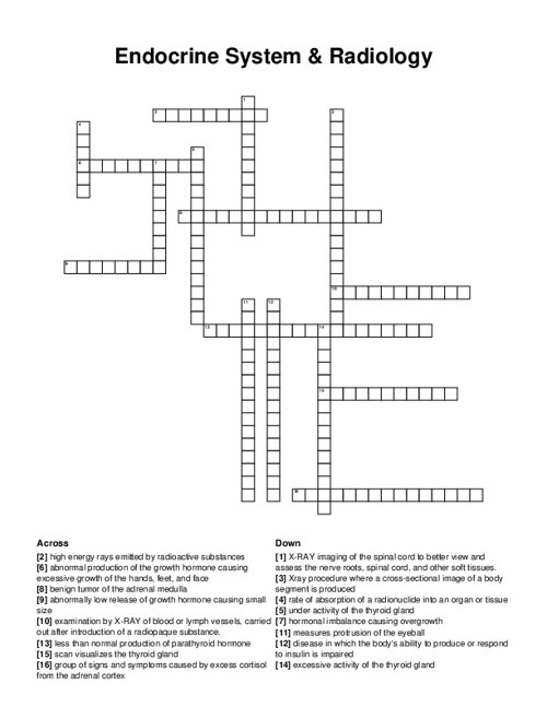 Endocrine System & Radiology Crossword Puzzle