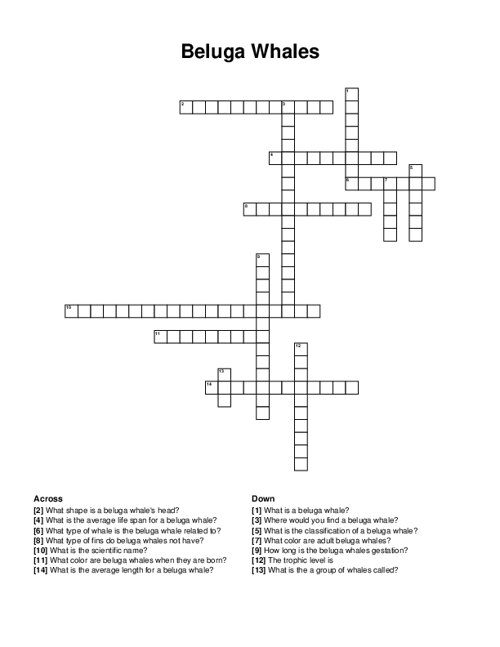 Beluga Whales Crossword Puzzle