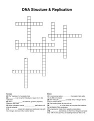 DNA Structure & Replication crossword puzzle