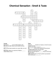 Chemical Sensation : Smell & Taste crossword puzzle