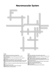 Neuromuscular System crossword puzzle