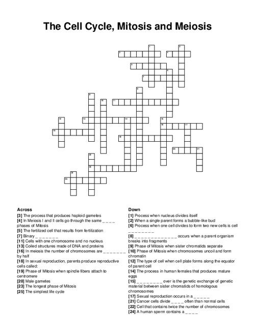 The Cell Cycle, Mitosis and Meiosis Crossword Puzzle