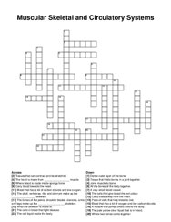 Muscular Skeletal and Circulatory Systems crossword puzzle