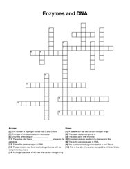 Enzymes and DNA crossword puzzle