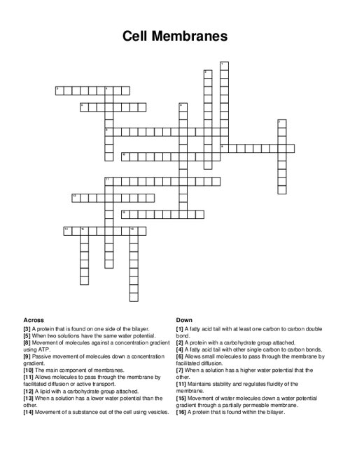 Cell Membranes Crossword Puzzle