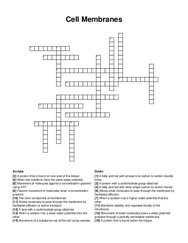 Cell Membranes crossword puzzle