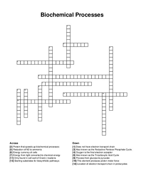Biochemical Processes Crossword Puzzle